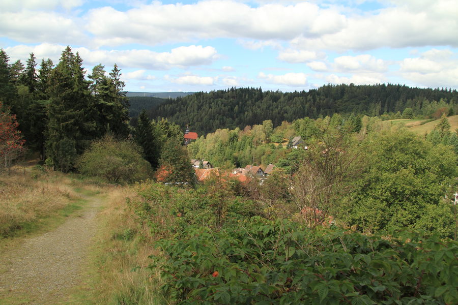 Blick auf Altenau, vom Kunstgraben aus