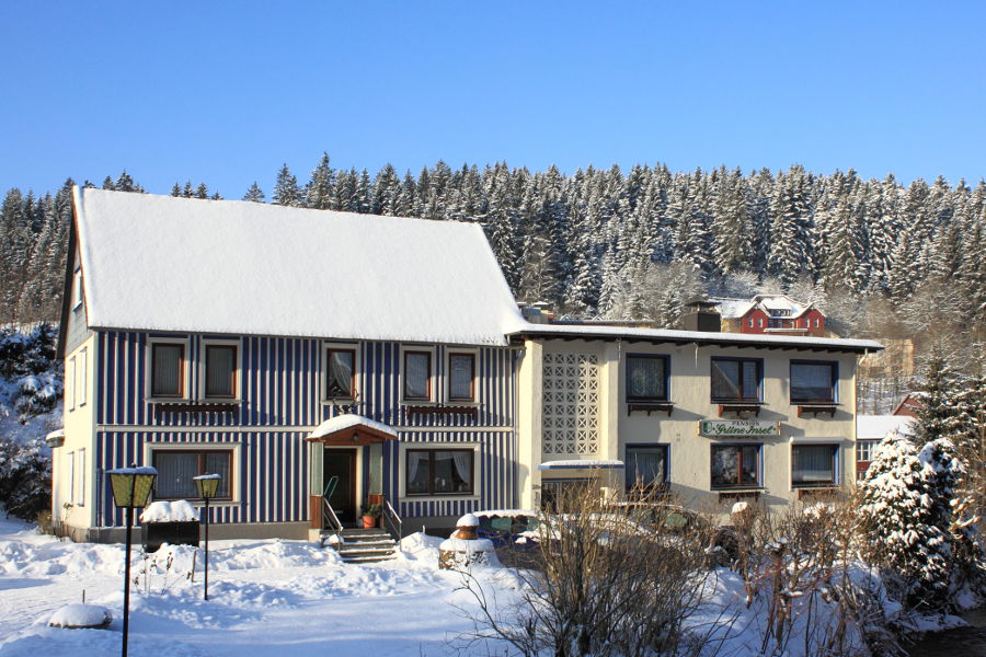 Haus grüne Insel im Harz