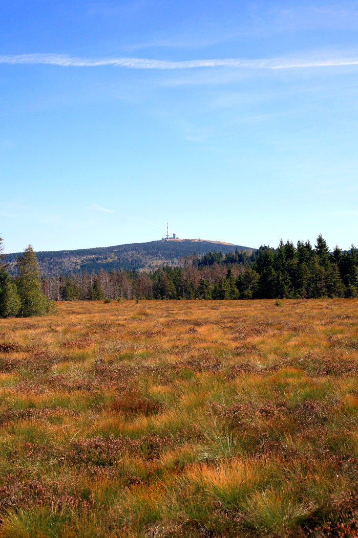 Wanderungern im Harz - Hochmor bei Torfhaus