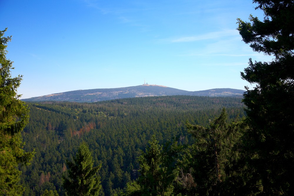 Blick von der Steilen Wand (bei Torfhaus) zum Brocken, Sommer 2008