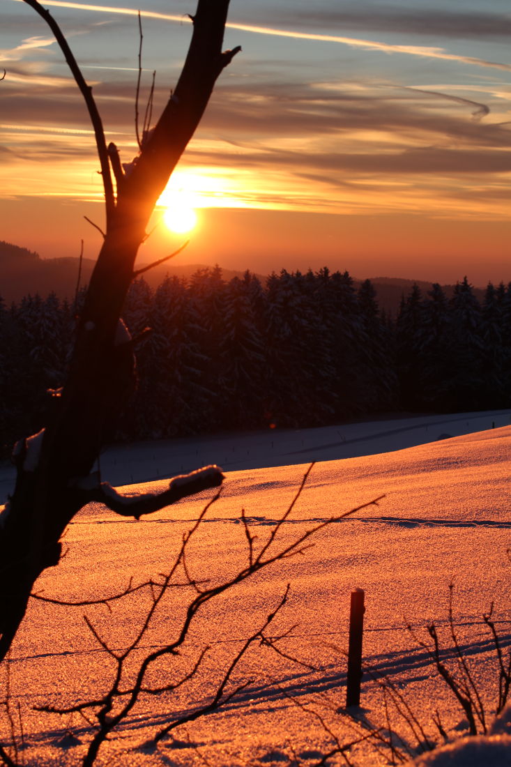 Die besten Naturphotos: Sonnenuntergang