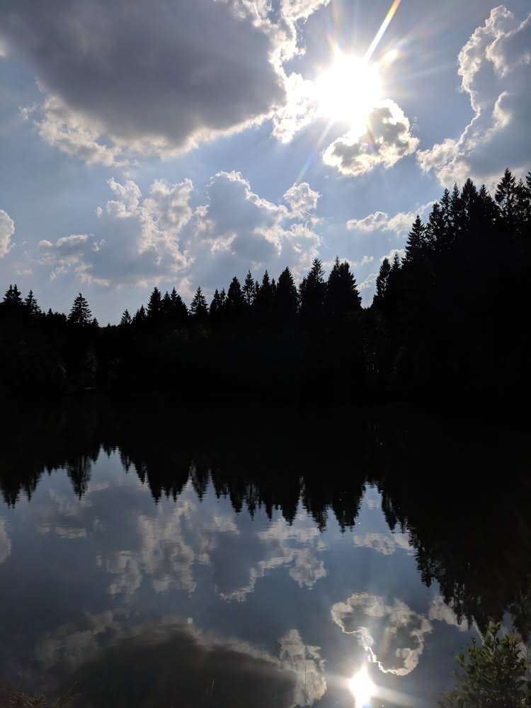 Die besten Naturphotos: Polstertaler Teich