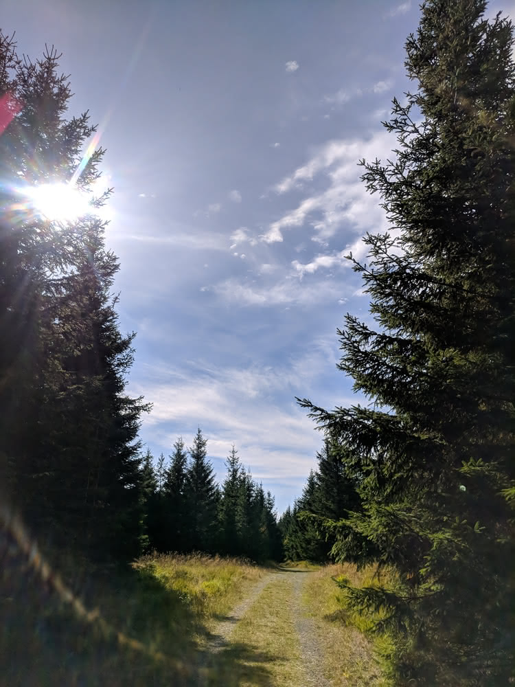 Die besten Naturphotos: Nationalpark Harz