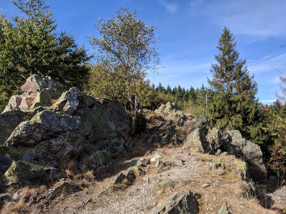 Die besten Naturphotos: Hammersteinklippen