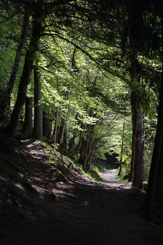 Die besten Naturphotos: Schwarzenberg im Frühjahr