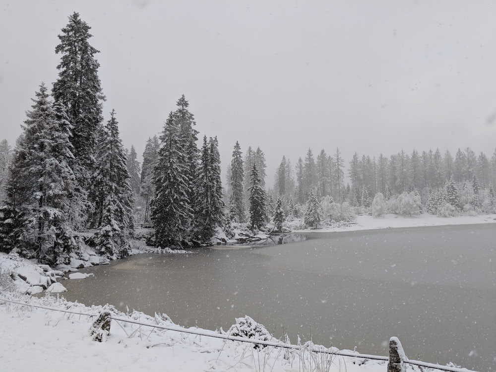 Die besten Naturphotos: Oderteich im Winter