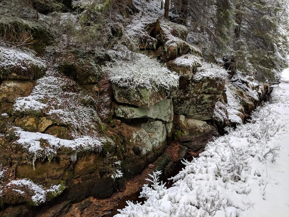 Die besten Naturphotos:  Am Oderteich im Winter