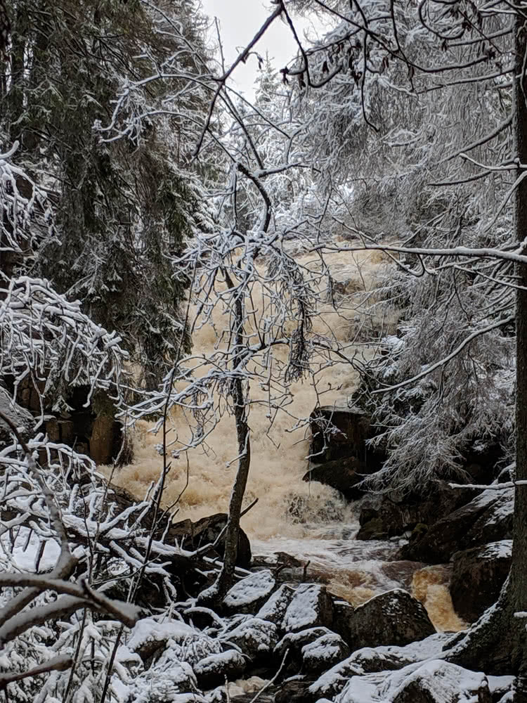 Die besten Naturphotos: Am Überlauf des Oderteichs im Winter