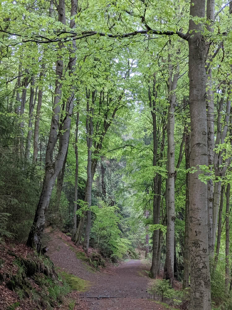 Die besten Naturphotos: Schwarzenberg im Frühling