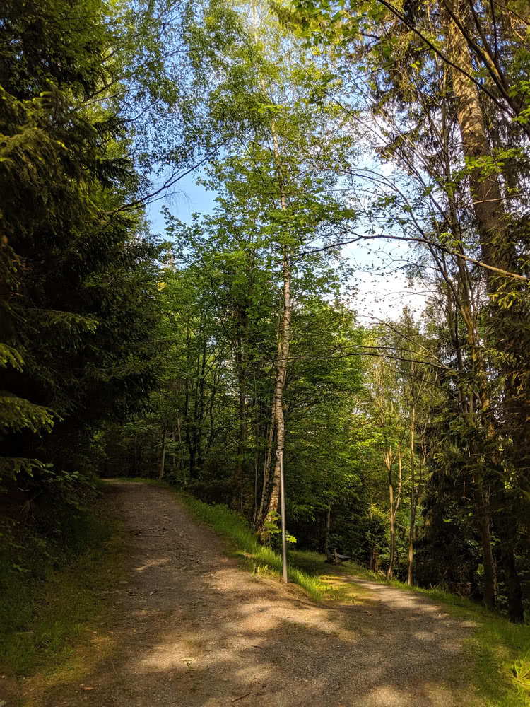 Die besten Naturphotos: Schwarzenberg