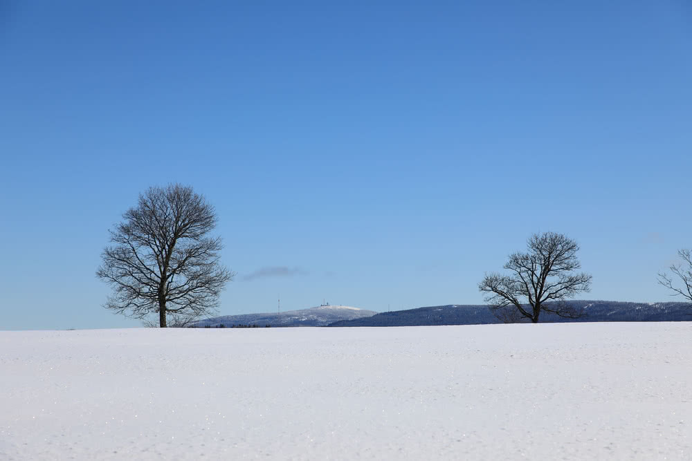 Die besten Naturphotos: 