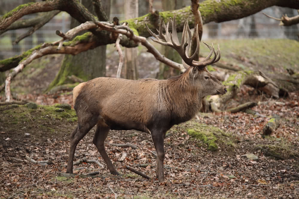 Die besten Naturphotos: 