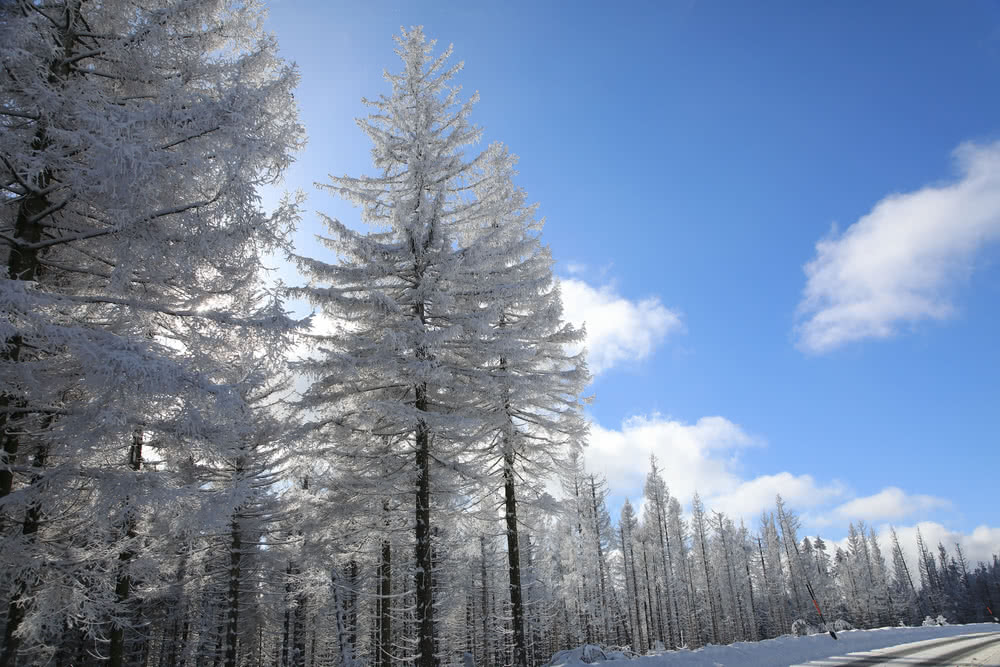 Die besten Naturphotos: 