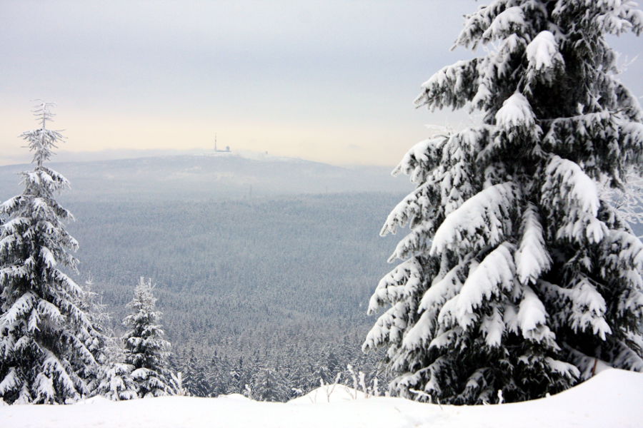 Winter im Harz Januar 2013 - Brockenblick