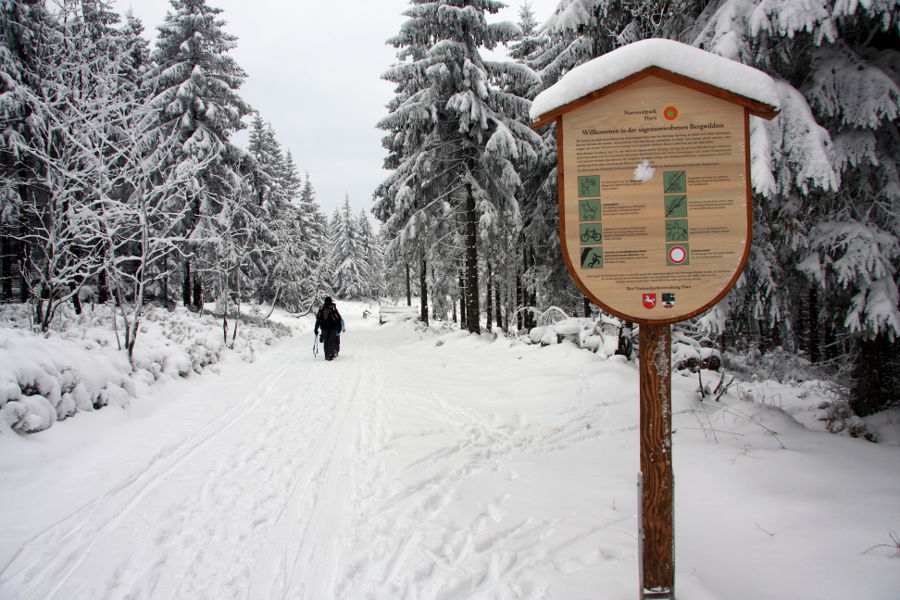 Winter im Harz Januar 2013