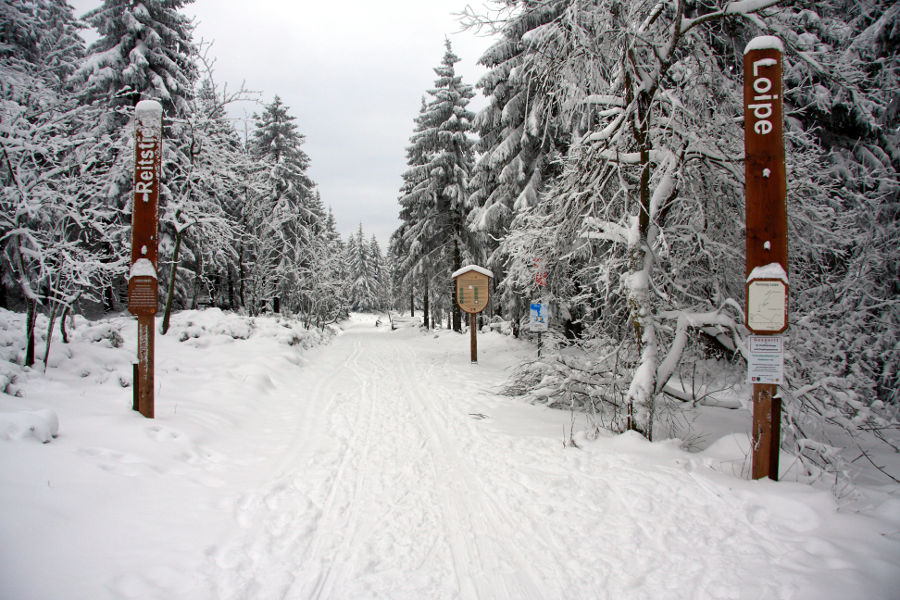 Winter im Harz Januar 2013