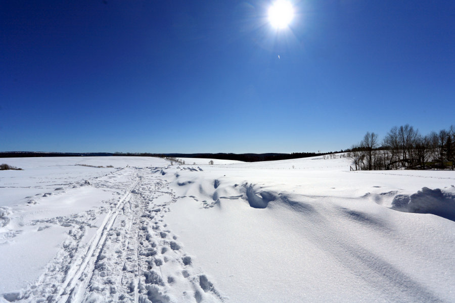 Anhöhe bei Clausthal Zellerfeld im Winter