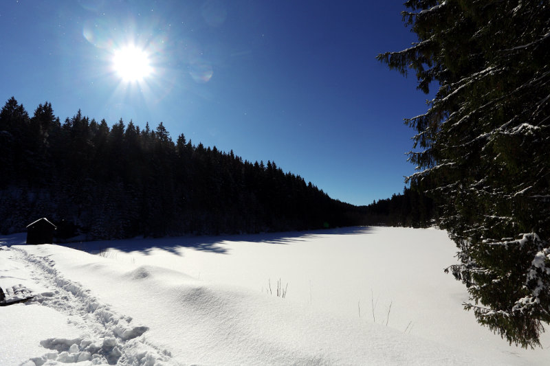 Der verschneite Hüttenteich im Winter (Altenau)