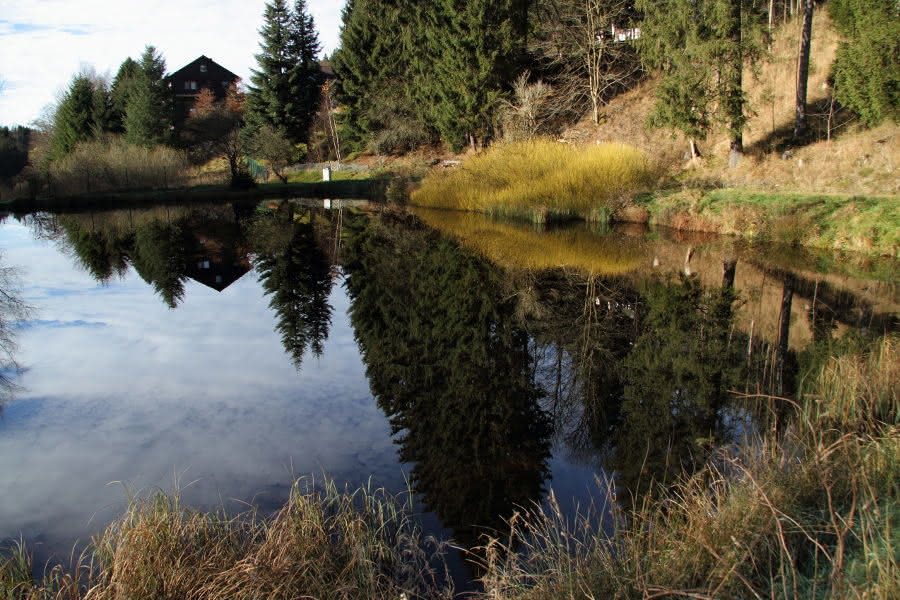 Die sogenannten Froschteiche in Altenau