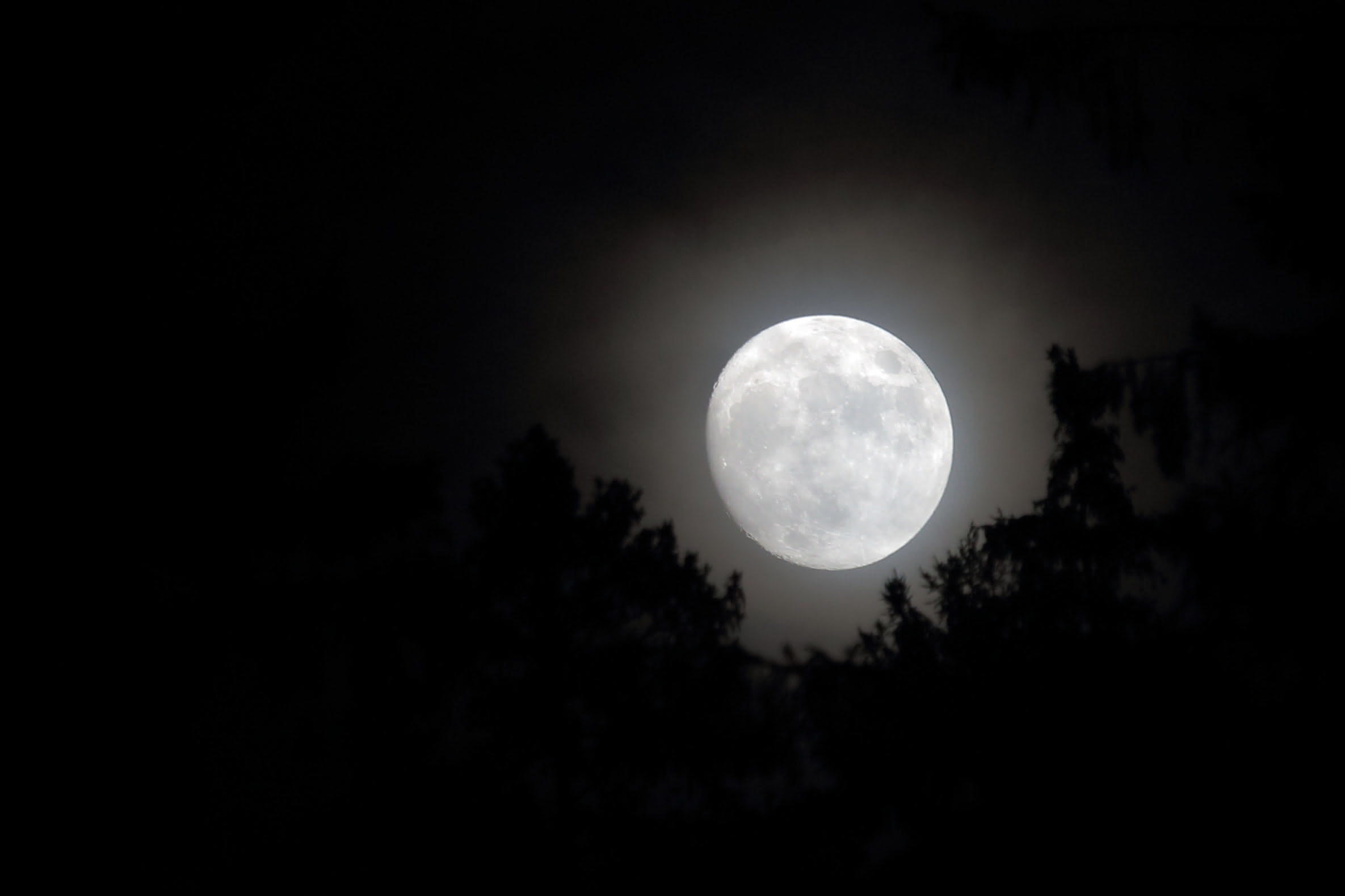 Vollmond im Harz