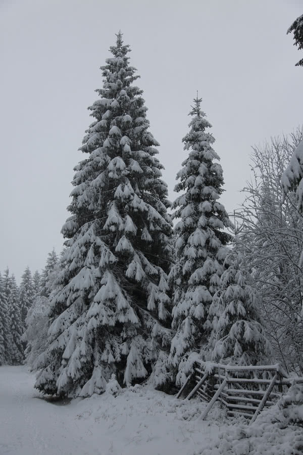 Der Harz und Altenau im Winter