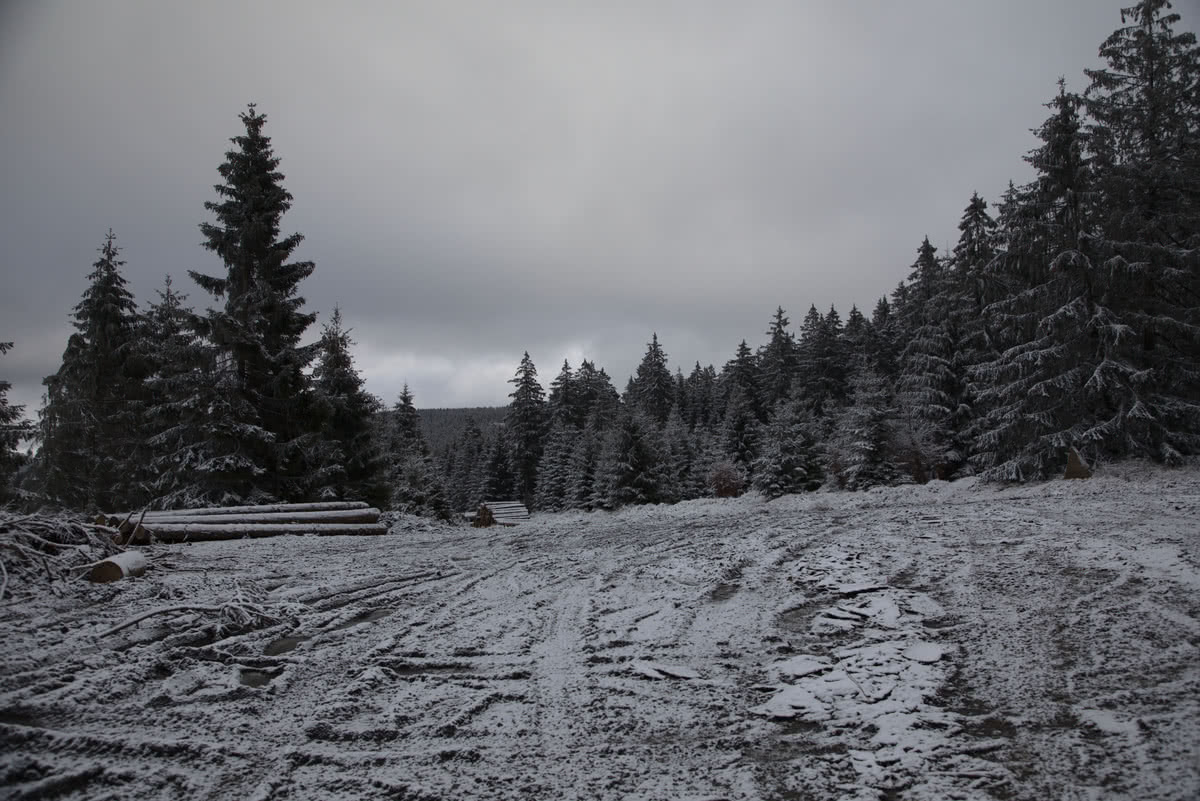 Wintertour von Altenau, über Torhaus nach Sonnenberg 