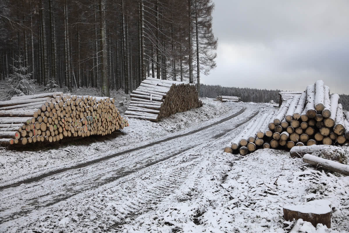 Wintertour von Altenau, über Torhaus nach Sonnenberg 