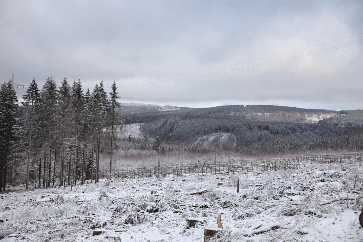 Wintertour von Altenau, über Torhaus nach Sonnenberg 