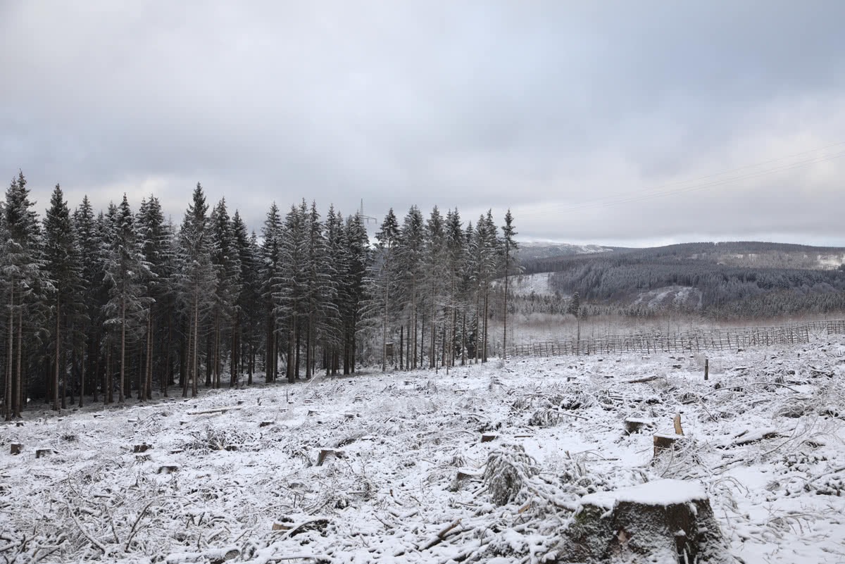 Wintertour von Altenau, über Torhaus nach Sonnenberg 