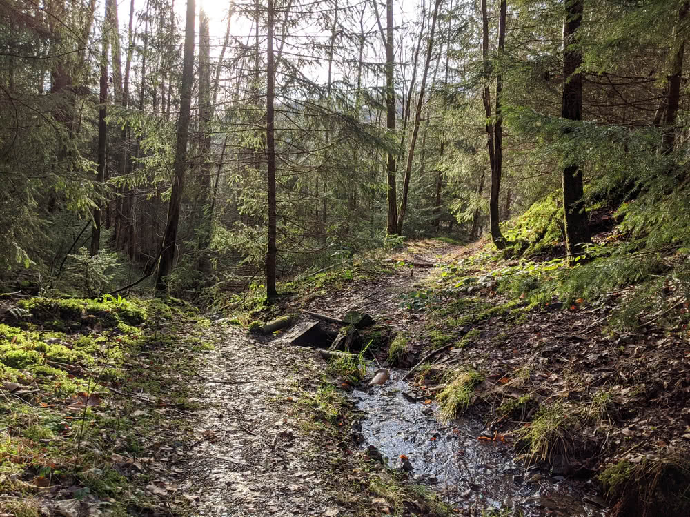 Schwarzenberg, Altenau im Winter 2020