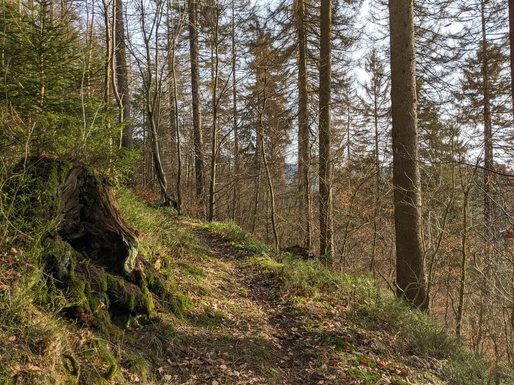 Schwarzenberg, Altenau im Winter 2020