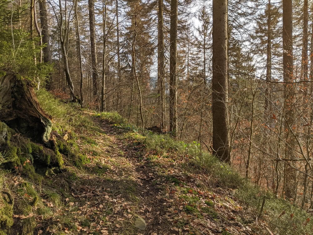 Schwarzenberg, Altenau im Winter 2020