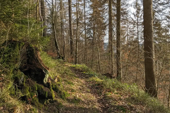 Schwarzenberg, Altenau im Winter 2020