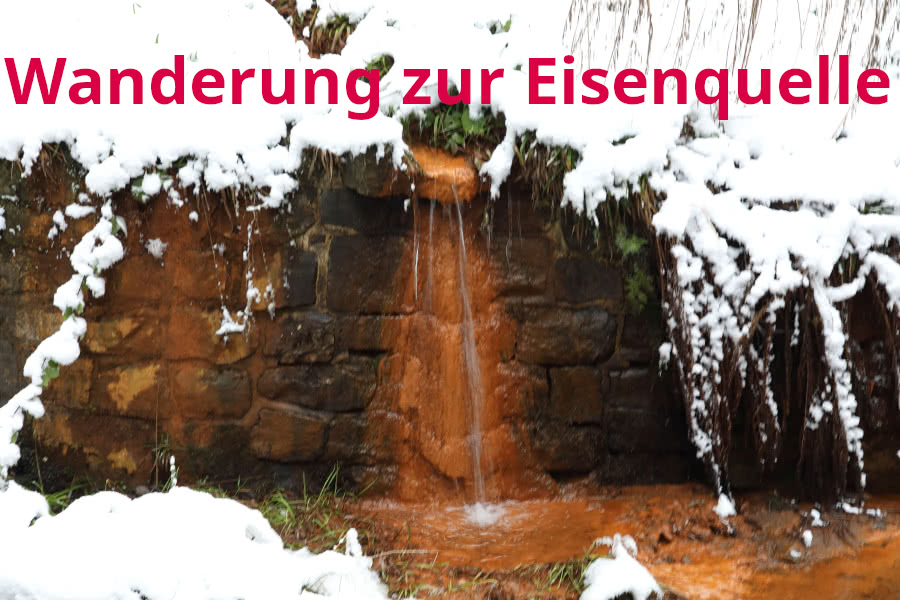 Wanderung zur Eisenquelle, Altenau