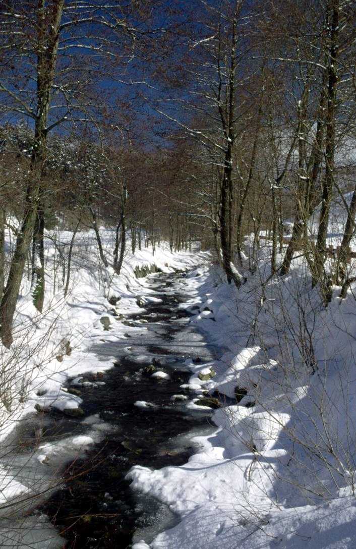 Schneidwasser am Kraeuterpark Altenau