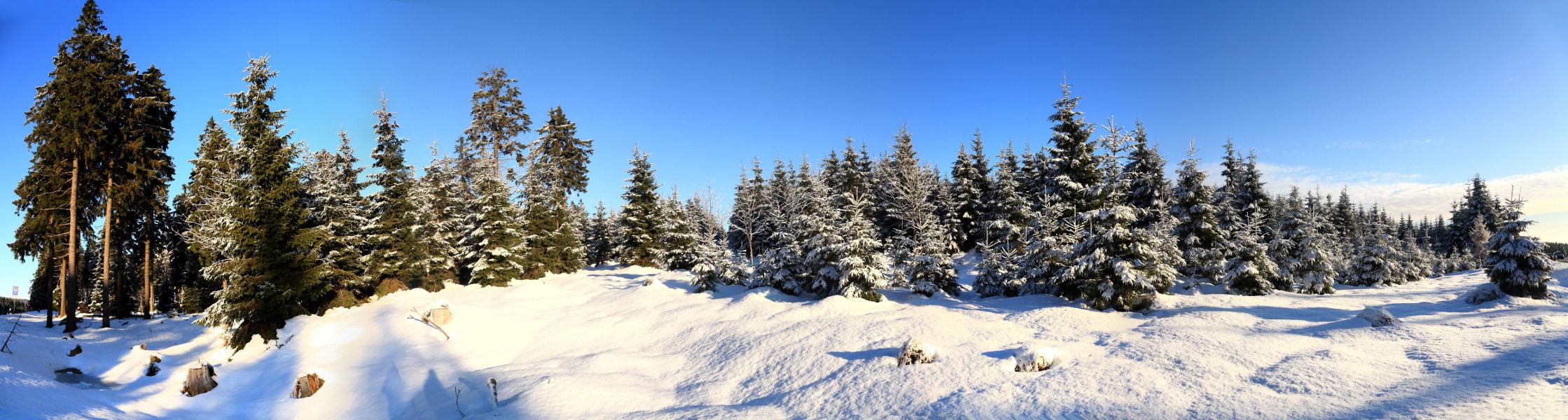 Winterlandschaft im Harz