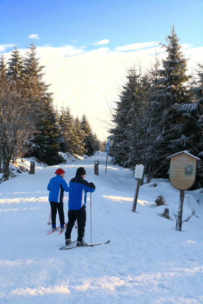 Langlauf am Sonnenberg